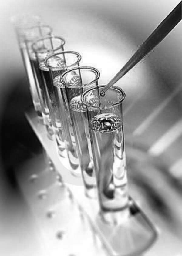 Science Park Weekly Science Journal